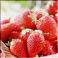 ���܁`���@������